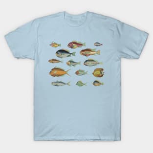 So Many Fish Blue #1 - Vintage Marine Biology Pattern T-Shirt